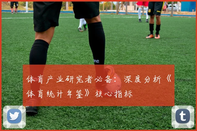 体育产业研究者必备：深度分析《体育统计年鉴》核心指标