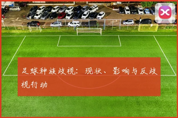 足球种族歧视：现状、影响与反歧视行动